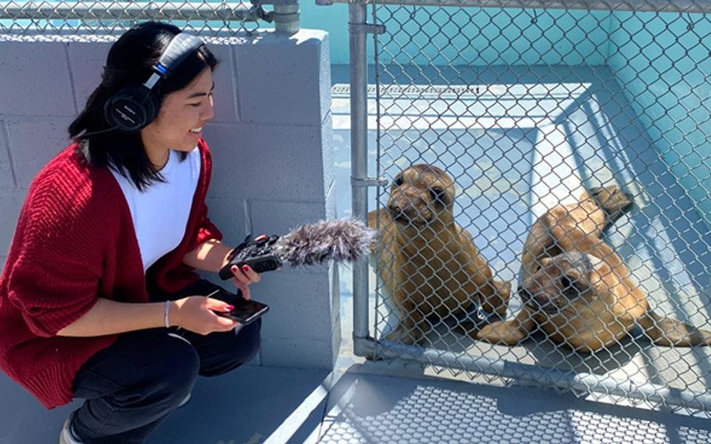 KCSB Visits Channel Islands Marine & Wildlife Institute